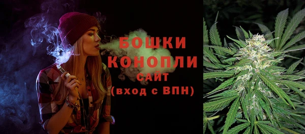 ешки Аркадак
