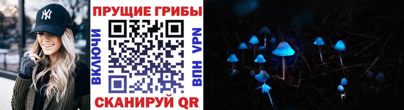 Галлюциногенные грибы Cubensis  где купить наркотик  kraken ссылки  Полесск 
